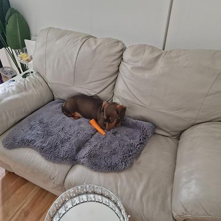 Aunty Katie'S House, Ni Tourist Board Certified & Located On The Main Oldpark Road To Belfast, With Free Continental Breakfast & Free Ultra Fast Sky Internet, Free Sky Sports & Free Sky Cinema, Self-Check In After 10Pm Gmt Vandrarhem Exteriör bild