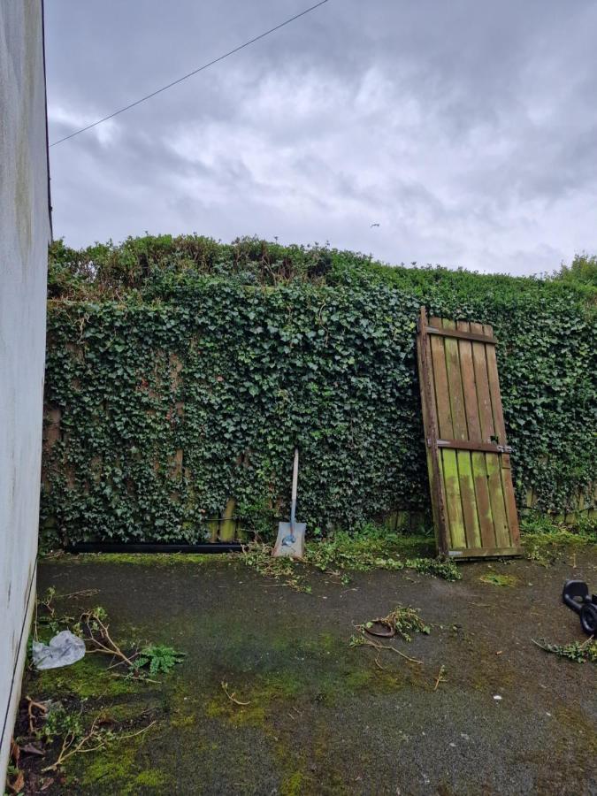 Aunty Katie'S House, Ni Tourist Board Certified & Located On The Main Oldpark Road To Belfast, With Free Continental Breakfast & Free Ultra Fast Sky Internet, Free Sky Sports & Free Sky Cinema, Self-Check In After 10Pm Gmt Vandrarhem Exteriör bild